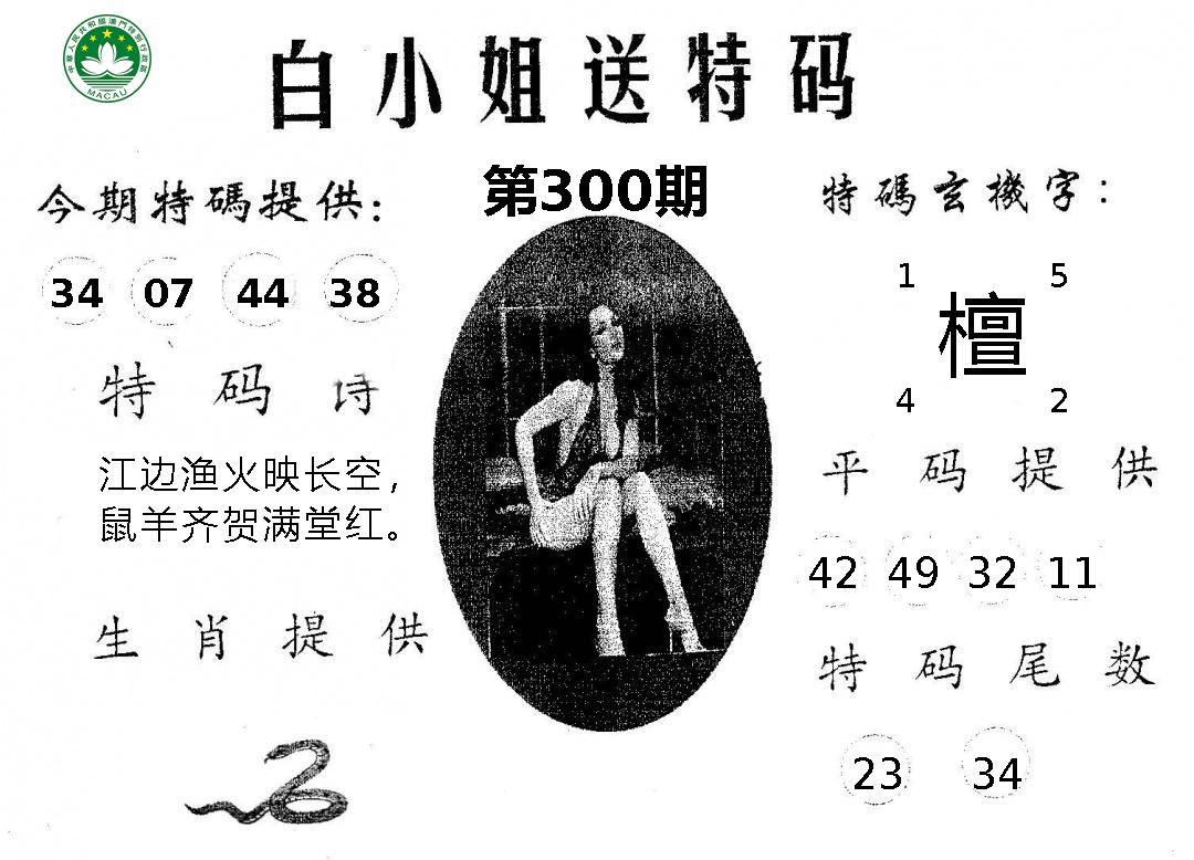 图片资料